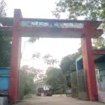 চাকরি দেওয়ার প্রলোভনে চট্টগ্রামে নিয়ে মারমা নারীকে গণধর্ষণ  - Chief TV