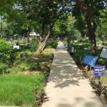 আজিমপুর কবরস্থানে কঙ্কাল বাণিজ্য, ঘাসের বস্তায় ভরে পাচার - Chief TV