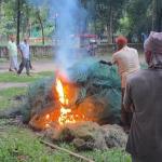 ঠাকুরগাঁওয়ে অভিযানে লাখ টাকার নিষিদ্ধ জাল জব্দ ও ধ্বংস-chief tv