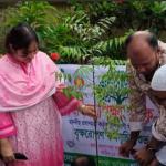 শাহজাদপুরে প্রাথমিক বিদ্যালয়ে বৃক্ষরোপণ কর্মসূচির উদ্বোধন-chief tv